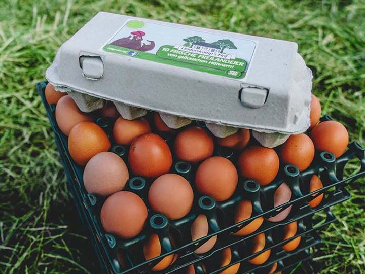 Frische Eier von freilaufenden Hühnern